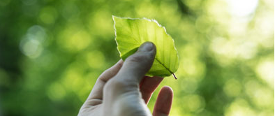 Corporate social responisibility ANL Plastics