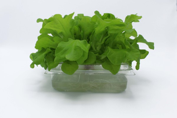 ANL Packaging- LANDWIRT-SCHAFTLICHE INDUSTRIE